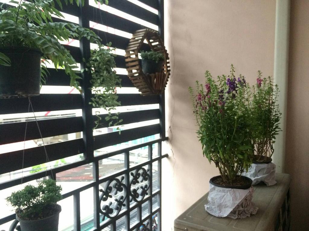 Rooftop Room Паккрет Екстер'єр фото